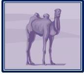 Camel